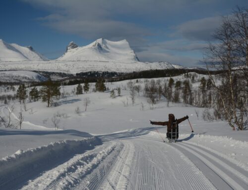 Campkonferansen – Valnesfjord, Fauske
