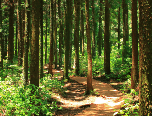 GATE konferansen, Belgia